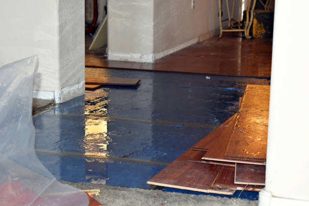 Professional Sewage Cleanup technician working in Taunton, MA